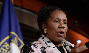 Chairperson of Pakistan, US Congress, Sheila Jackson, Cancer