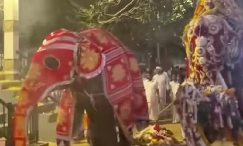 Chaos at Sri Lanka Hindu Festival as Elephant Causes Panic Injures 13 1