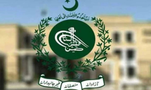 Supreme Court, ECP, PTI, Reserved Seats, PTI, Sunni Ittehad Council, Shehbaz Sharif, PML-N, Government