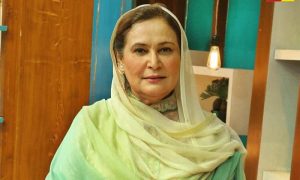 Chef, Pakistan, Creative Hands, Television,