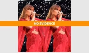 Fact Check