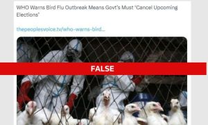 Fact Check