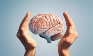 Memory Formation, Brain, Oxygen, Okinawa Institute of Science and Technology, Study, Researchers, iScience, aLTP