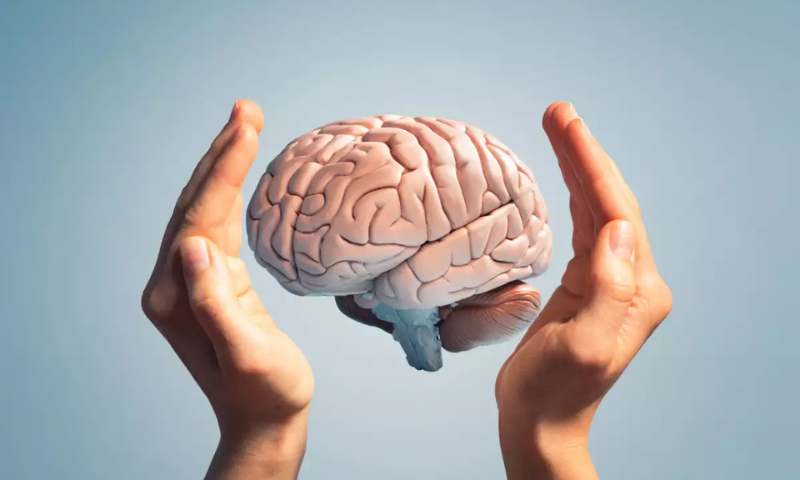 Memory Formation, Brain, Oxygen, Okinawa Institute of Science and Technology, Study, Researchers, iScience, aLTP