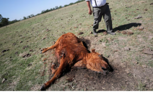 La Nina Threatens Latin America with Climate Extremes