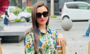 PTI Sanam Javaid, Arrested, Court,