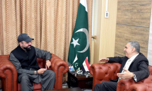 Pakistan, Interfaith Harmony, Chaudhry Salik Hussain, Egypt, religious education, Egyptian Ambassador, Dr. Ihab Mohamed Abdelhamid Hassan,