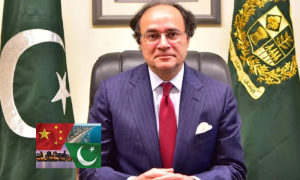 China, Power, Loan, Electricity, CPEC, Banks, Finance Minister,