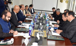 Pakistan, Turkmenistan, TAPI Gas Pipeline, Islamabad, Economic, Energy, Petroleum, Afghanistan, India,