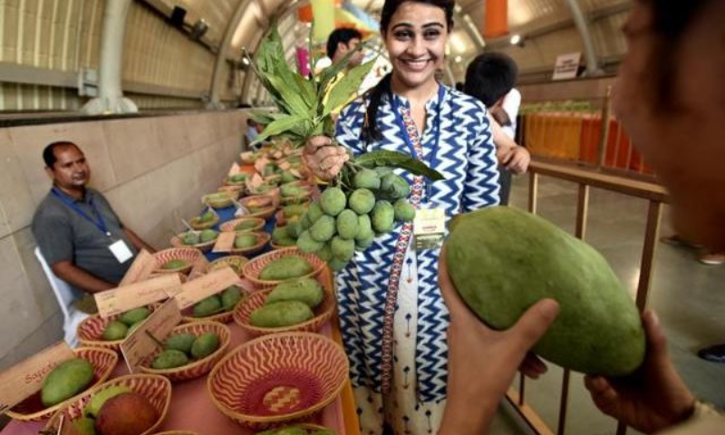 Pakistan embassy displays mangoes at an event in Paris 1