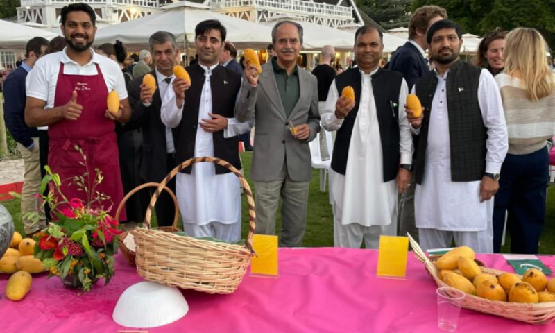 Pakistan embassy displays mangoes at an event in Paris
