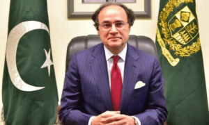 Pakistan, Finance Minister, Muhammad Aurangzeb, China, energy loans, Panda Bonds,