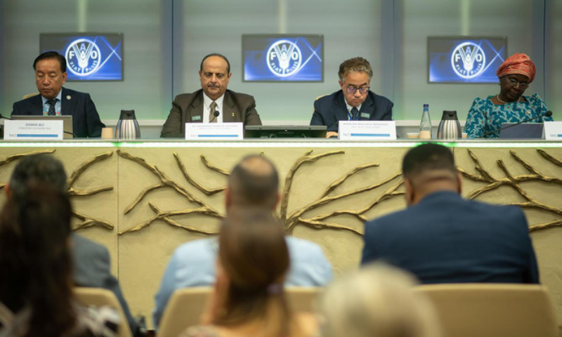 Saudi Arabia, Environmental, Rome, UN Food and Agriculture Organization, Kingdom, COP16