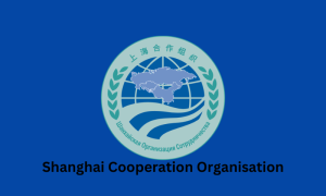 SCO Proceeding Multipolarity 1