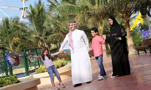 Saudi Arabia, Health Sector, Vision 2030, Council of Ministers