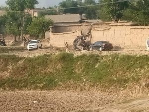 Senate, Bajaur, Terrorism, Parliament, Balochistan,