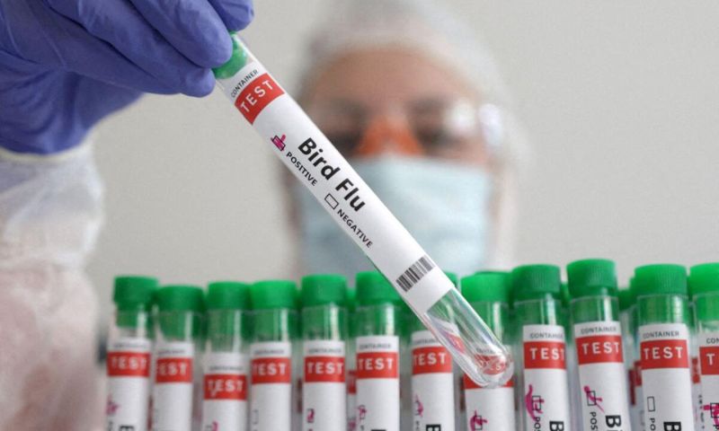 Moderna, Bird Flu Vaccine, US, Government, Health, Outbreak, Influenza, mRNA, BARDA,