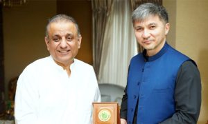 Privatization, Central Asia, Trade, Communications, Pakistan,