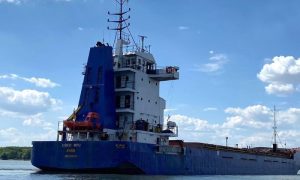 Kyiv, foreign cargo ship, Crimea, Russia, Ukraine