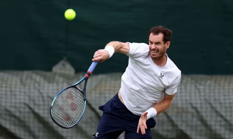 Andy Murray, Novak Djokovic, Wimbledon, Tennis, Scottish, Jamie, British, Belgium,