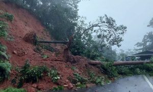 Landslide, Vietnam, Prime Minister, Floods, Rain,