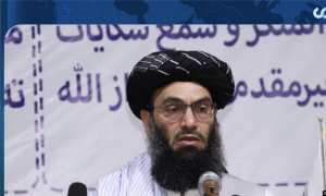Afghanistan, Taliban, Government, Morality Law, Women, Beard, Ministry, Dress Code, Afghan Citizens, United Nations