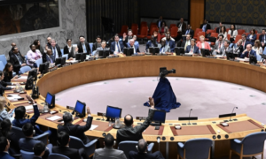 Gaza, Algeria, UN Security Council, United Nations, International Court of Justice, Palestine, Al-Tabin