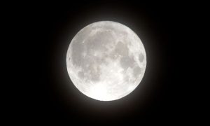 Blue Moon