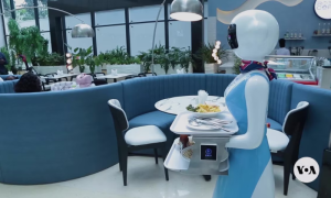 Cafeteria with Robot Servers Causes Eagerness in Nairobi