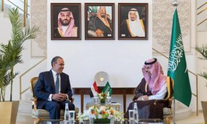 Saudi Arabia, Egypt, Gaza, Foreign Affairs