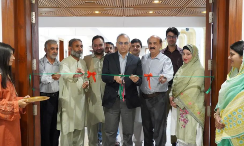 Hues of Pakistan, art exhibition, Pakistan's Independence Day, PNCA