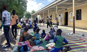 OIC, Sudan, Humanitarian, Aid