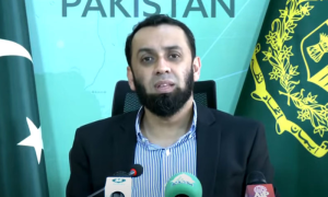Pakistan, Information Minister, Attaullah Tarar, Parliament, Elections, legislation, Jamaat-e-Islami