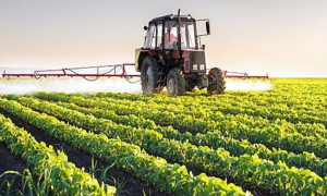 Agri Development, Pakistan, South Korea, Pakistan Agricultural Research Council, Korean Program on International Agriculture, Food Security,