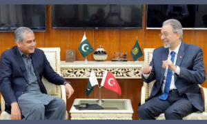 Free Online Visa, Pakistan, Turkish Nationals, Turkey, Islamabad, Mohsin Naqvi, Interior Minister, Ambassador, Relations,