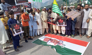 Kashmiris, Protest, Burhan Wani Chowk