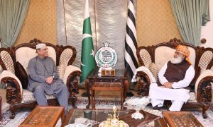 President, Asif Ali Zardari, Federal Interior Minister, Mohsin Naqvi, Jamiat Ulema-e-Islam, Maulana Fazl-ur-Rehman, Islamabad,