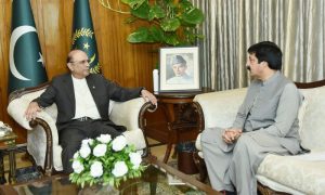 President, Zardari, Governor, Punjab