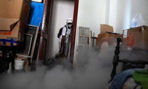 Iran, Dengue Cases, Mosquito-Borne, Disease, Health Ministry, Dengue Fever, Virus, Hormozgan, Sistan and Baluchestan, Khuzestan, Bushehr, Golestan, Gilan, Mazandaran, Ardabil