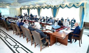 Pakistan, federal cabinet, Shehbaz Sharif, Privatization Commission Board, Privatization Division, Women's Day,