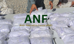 ANF, Drugs, Nationwide, Operations