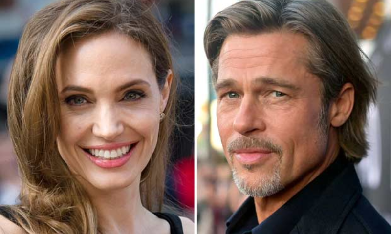 Angelina Jolie, Withdraws, Lawsuit, FBI, Brad Pitt, Abuse Case