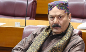 Chairman Kashmir Committee, World Action, Occupied Kashmir
