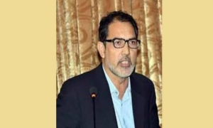 Kashmiri Leader, Indian Polls, Occupied Kashmir, attempt, mislead international opinion,