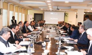 ECC, industrial gas, Muhammad Aurangzeb, CNG sector,