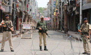 foreign diplomats, IIOJK, Srinagar, Ganderbal, Budgam districts, assembly elections,