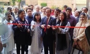 Japan Foundation, Yokai Parade, Lahore Arts Council, Pakistan, Ambassador, Lahore Arts Foundation Trust