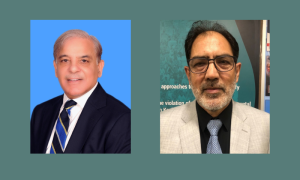 Kashmiri Leader, Pakistan PM, Raising Kashmir, Palestine Issues, UN