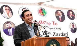 coalition government, parliamentary support, constitutional amendments, PPP, Bilawal Bhutto Zardari, judicial reforms, JUI-F, National Assembly,