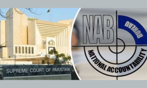 SC, NAB Amendments, Verdict,